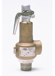 Safety & Relief Valves - Safety & Relief Valve - 31/41 Series